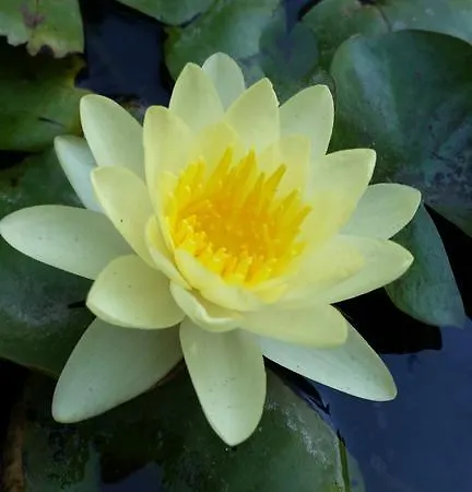 Aeolos Kalymnos Apartament *