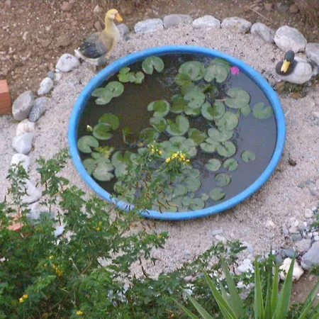 Apartament Aeolos Kalymnos Myrties