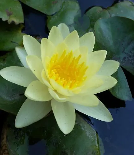 Aeolos Kalymnos شقة *