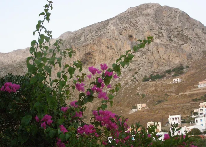 公寓 Aeolos Kalymnos *